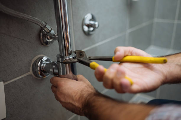 Best Clogged Drain Plumber  in Hartland, WI